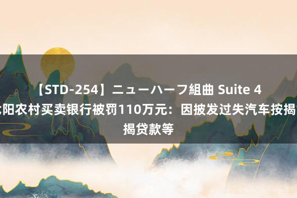 【STD-254】ニューハーフ組曲 Suite 4 江西弋阳农村买卖银行被罚110万元：因披发过失汽车按揭贷款等