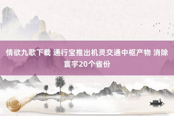 情欲九歌下载 通行宝推出机灵交通中枢产物 消除寰宇20个省份