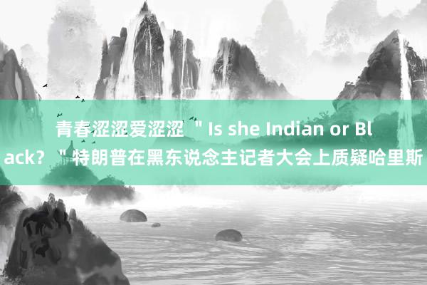 青春涩涩爱涩涩 ＂Is she Indian or Black？＂特朗普在黑东说念主记者大会上质疑哈里斯