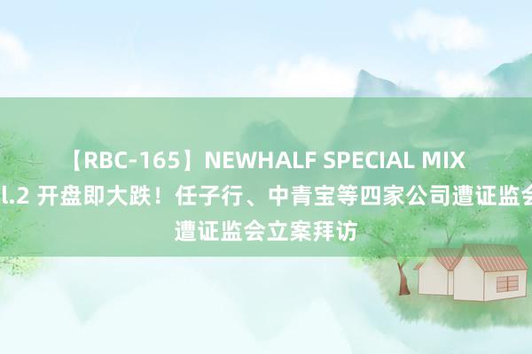 【RBC-165】NEWHALF SPECIAL MIX 240分 Vol.2 开盘即大跌！任子行、中青宝等四家公司遭证监会立案拜访