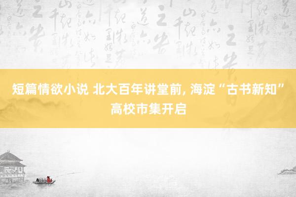 短篇情欲小说 北大百年讲堂前, 海淀“古书新知”高校市集开启